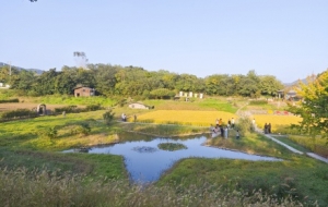 �Ͼ��ܴ壺�����l����Ұ�g�����ܲ�һ�ӵ�����