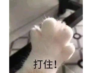 ���������WУ���޺͇��H�WУ��ֶ���������cС���|