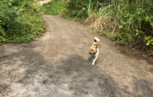 ������@�������l�������������