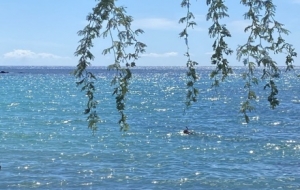 ����ꖹ��µ��L�������H���I�Դ󺣵���