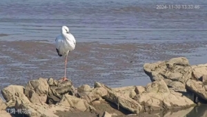 �|�����X�״άF�����