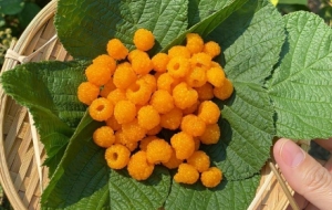 �T�����ۡ������h�㣡��һ���S��ϲ���ľ���