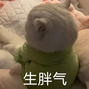 ��ꎿ��������·������·������ˣ�ƨ��ĵط������_30���