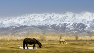 ע���������՚⌢���m(x��)Ӱ푽��