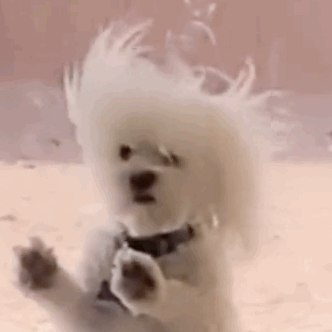 ���г��������F�ڵ��a�X����Ʒ���m��ǧ���ǲ������̶��������]�ԃr�ȸߵ�