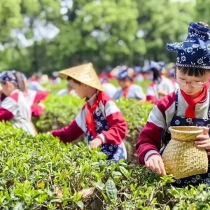 ��ꎣ�ȫ���h������ُ�(qi��ng)�ڶ���