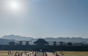 ���M�M�������m���I���������ֺ���