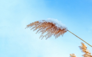 ���L���������؈�棡��՚�Ӱ푽��