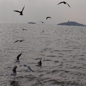 �o�a�x�^侣����tιʳ��Ȥ��