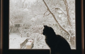 �S�Ĝ�ܰ�r(sh��)�̣�؈؈��ѩ��ϲ���S��