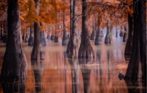 �R�^�µĹ�Ӱˇ�g��һ�������˵Į��������y��