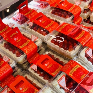 ���ں��R�r��ԇ�I�I����ȥ܈܈�[æ�����ʺ������ɶ�r��Ҳ����