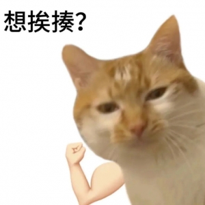 ����������£��Әӌ����ɲŷQ�ģ��F���ǲ����c���㣬���f�|��������