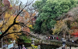 ���ջ����@�֣�������ʽ���W�������ܴa