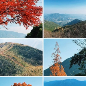 һ��һ����֨����֪ƣ��ط�Խÿһ��ɽ��