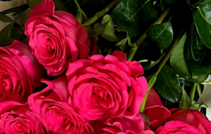 ������ƽ����Ҳ�������棡����ҲҪ�옷��