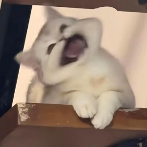 �L늸�6��Ҳ�㰾���^�ˣ��mȻ���ܸ���Щ��н�^�f���˱ȣ���һ�꿂���Y10�f���^Ҳ���e