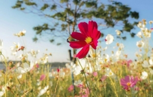 �N��ҫ�ۣ���ɽ��Ұ��̎�_�M�˻�