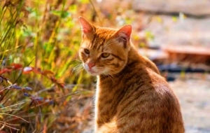 �]؈�Õr�����z�����R�^ӛ��Ȼ����ĵ�������