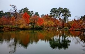 �ֵ���ɽ�p���ĺÕr������ɽ��Ұ�t���