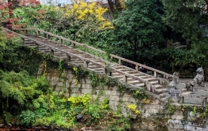 ̽���K�ݻ������Ȫ���h�x�oȤ�c����