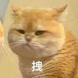 �����̣�160��ͬ�з��գ����˽o���k�����������^��œ���������ֱ�ӵǙC