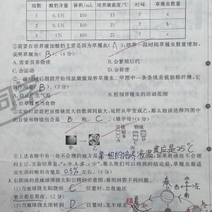 �F(xi��n)��С�W(xu��)�����������Ҫԭ���}Ŀ׃̫�y�ˣ��󲿷��}Ŀ����һ����һ��