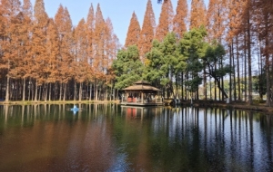 �z���S�ģ�������ůꖣ�Ը���ճ���