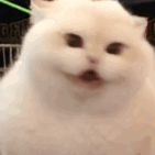 �����r(n��ng)������긣�������X�Ĵ���o60�q��������ÿ�˰l(f��)��3000����������ʲô������