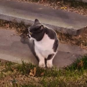 �޹���Ҋ؈����Ԓ�f��؈�lؔ����Ҳ����ؔ������Ҫ�lؔ��