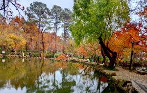 ���յ��_ƪ�������p�t�~���ֱMȾ