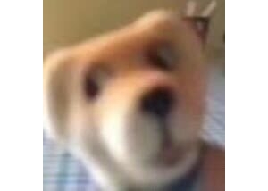 �ǅ^�_��3���б�ʳƷ��ÿ�ҵ�ľ��x�͸�200��