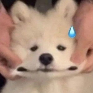 Խ�L��Խ�Σ�΢�š�QQ���Ѻܶ࣬��Ǜ]�ҵ��������������