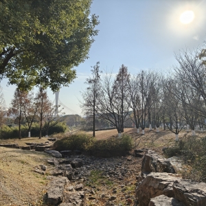 ܽ�غ����_��΢�L������Ǔ�����Ȼ�ĺÕr��