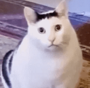 ��߅���v��Ԓ������·���㆖���Ͷ�Ȧ�ӣ������@�ӵ��ˣ�ֻ���x�h�c