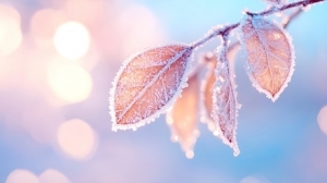 ���ر�������ꎴ���������