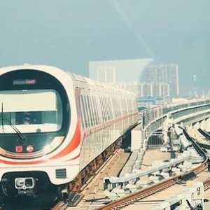 �����F���o�a�����֕�������ɽ���(zh��n)�˔D�˺ß��[