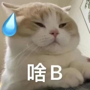 ���^���Խ��Խ���^��������V�x�飬�@ôϲ�g���p�ģ��ҵ�Ҫ��������ʲô�ù��ӳ�