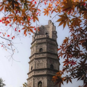 �W�ь�Ԋ��������ꎣ���Ԋ�箋������