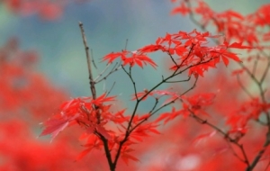 �S�ģ�ɽ�Ӷ��գ��U���c���g��Ԋ�⽻��