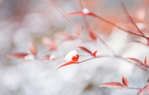 �E���������Ո(q��ng)���Ü�(zh��n)��...