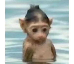 �����y�����ɿ������λ����ӽ��|���������v������߀�� ����ô�������