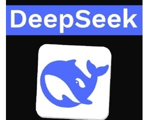 Ц����������DeepSeek����Ķ����Փ��