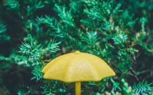 ���Ҫ�����ˣ�