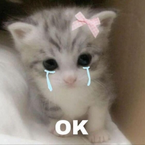 ʧ����⣡ÿ���賿���c�с���˯�����ˣ�����һ���˾����㱣��o�Ĺ���