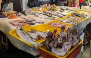 ������_���Ă��y���Ј������ڟ�������������