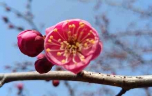 �������p÷��������Ԋ�鮋��Ĵ��շՇ�