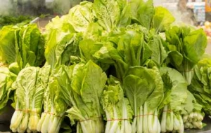 ȫ��24������ȥ�I�I�I