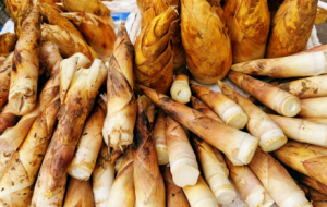 �ۣ��@һ�ڴ����޶�Ҳ̫�r���˰�