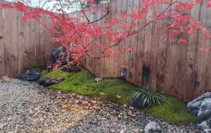 ����Ҽҵ�ͥԺ���^���o��������o��������